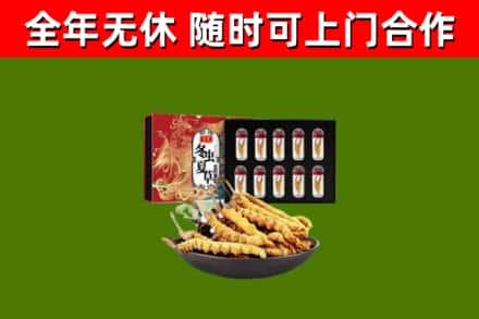 常州烟酒回收冬虫夏草礼盒.jpg